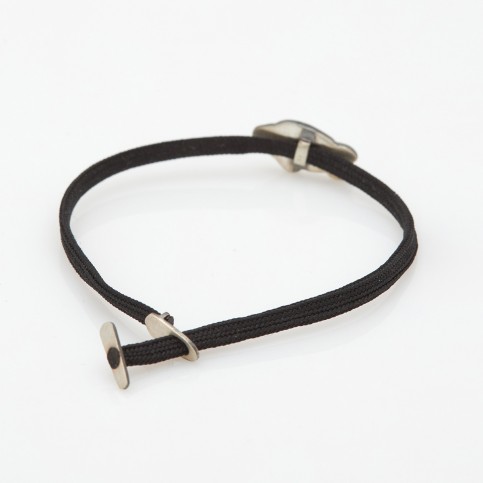 Προιστορικο Μπουκλωτό Ψάρι