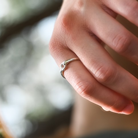 Particles Ring